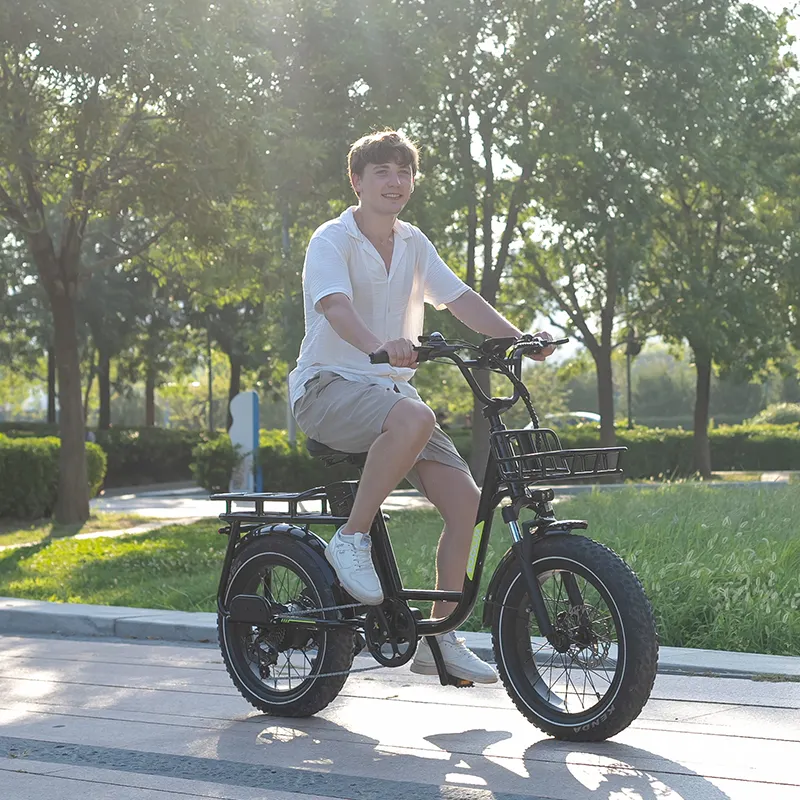 KOOLUX X7 Electric Bike – 750W Peak Motor, 48V 25Ah Battery, 20" Fat Tire, Up to 120km Range