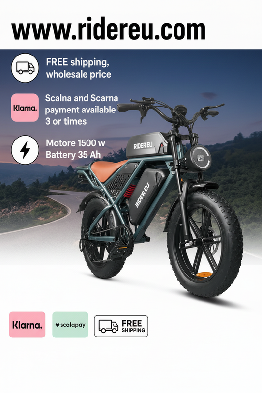 RIDER EU E-Bike Variation 2